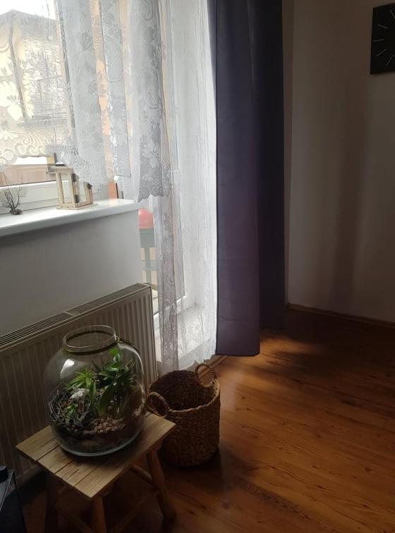 דירות Velke Porici Apartman Beseda מראה חיצוני תמונה